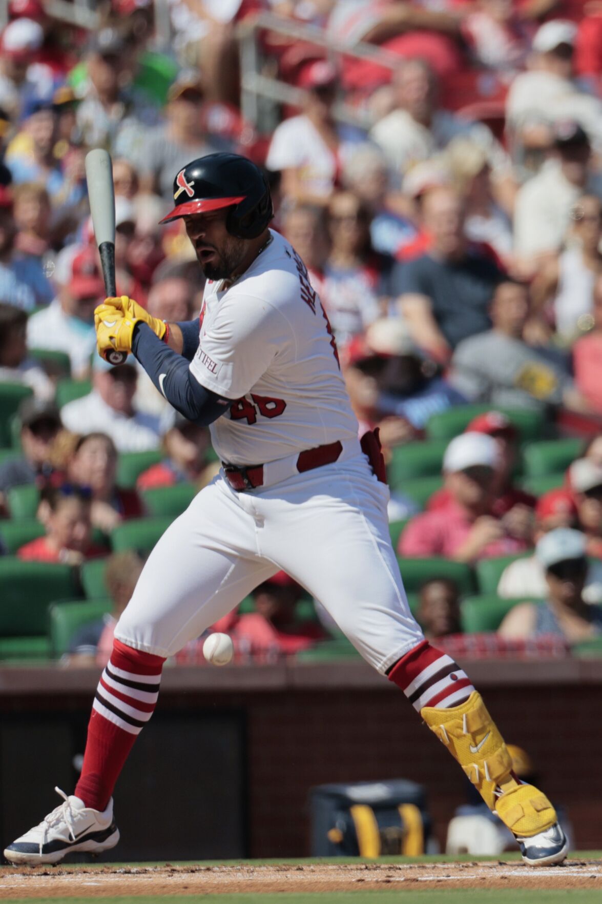 Cardinals host Brewers Sunday